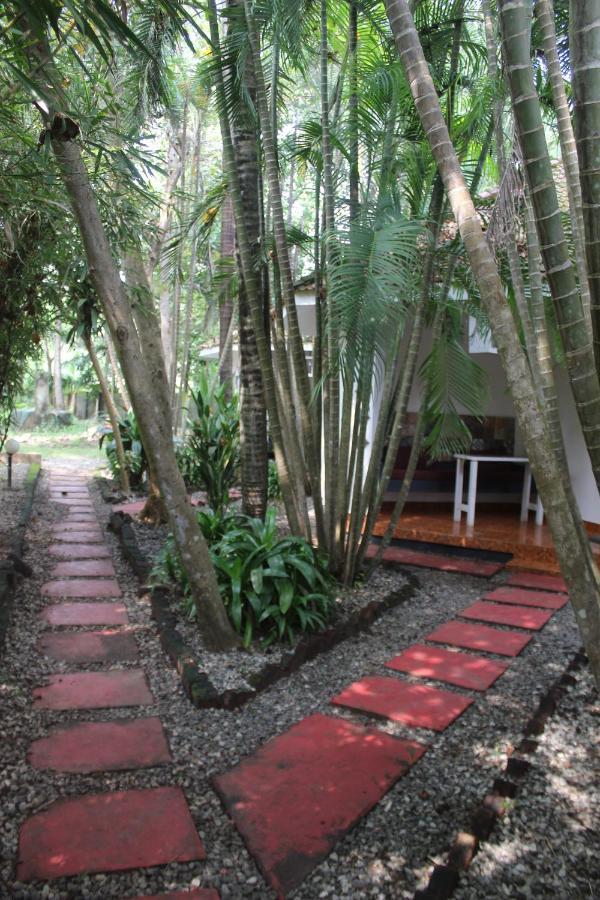Mint Inside Garden Apartment Varkala Exterior photo